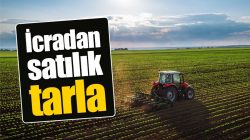 Tutak’ta icradan satılık 75,600 m² tarım arazisi