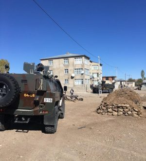 Tutak’da polis ve jandarmadan silah kaçakçılarına operasyon