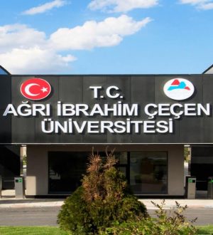 Ağrı İbrahim Çeçen Üniversitesi Rektörlüğüne ait 3 adet taşınmaz ihale ile kiraya verilecektir