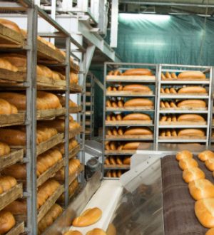 Ekmek üretim malzemesi satın alınacaktır