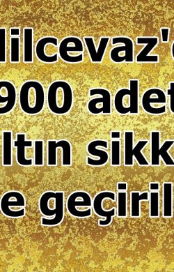 Adilcevaz’da 900 altın sikke ele geçirildi