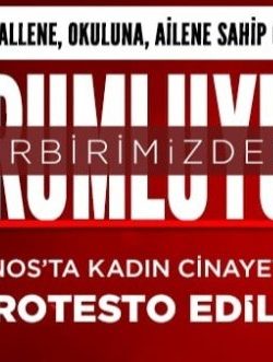 Patnos’ta kadın cinayetleri protesto edildi
